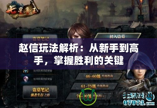 趙信玩法解析：從新手到高手，掌握勝利的關(guān)鍵