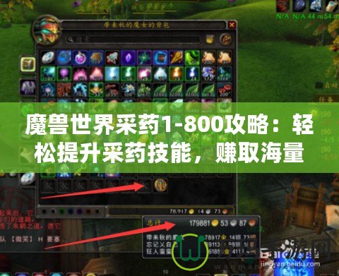 魔獸世界采藥1-800攻略：輕松提升采藥技能，賺取海量金幣！