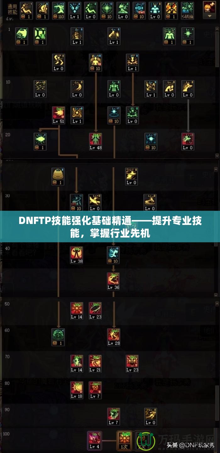 DNFTP技能強化基礎精通——提升專業技能，掌握行業先機