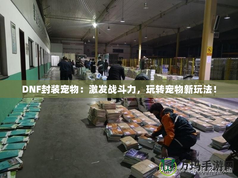 DNF封裝寵物：激發戰斗力，玩轉寵物新玩法！
