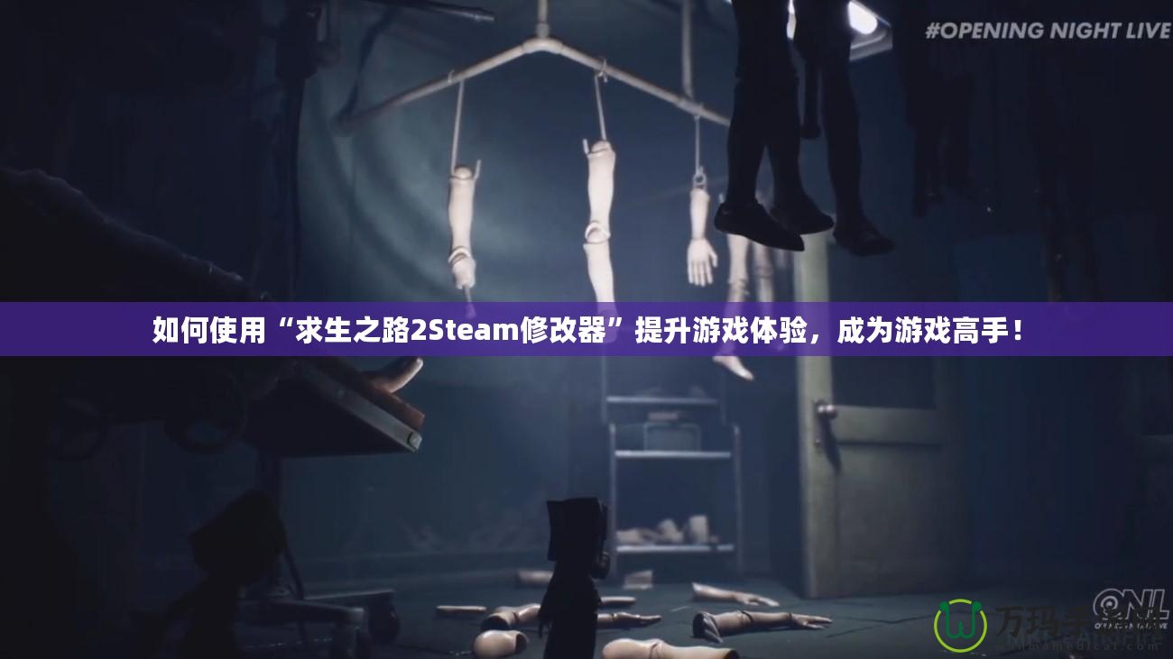 如何使用“求生之路2Steam修改器”提升游戲體驗，成為游戲高手！