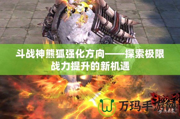 斗戰神熊狐強化方向——探索極限戰力提升的新機遇