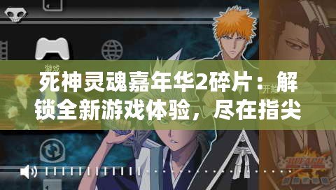 死神靈魂嘉年華2碎片：解鎖全新游戲體驗(yàn)，盡在指尖！