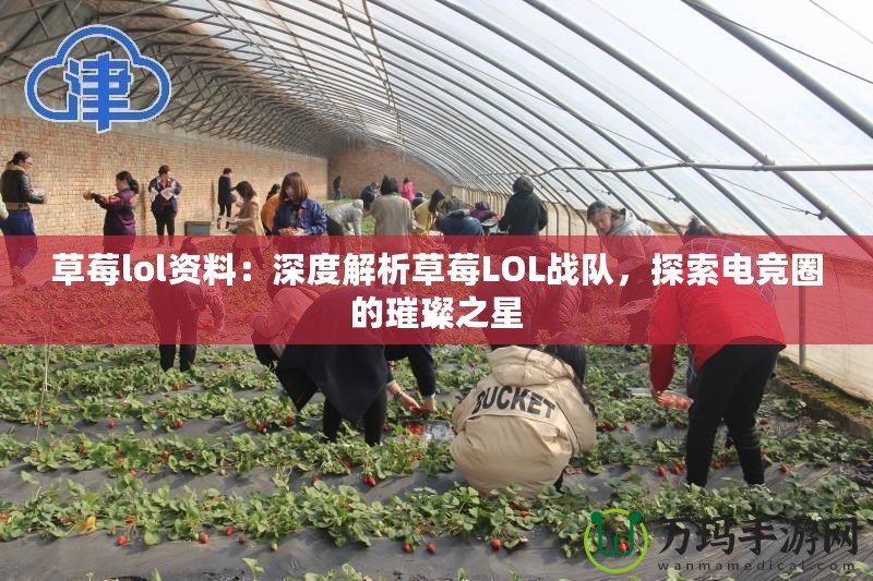 草莓lol資料：深度解析草莓LOL戰(zhàn)隊，探索電競?cè)Φ蔫仓? title=