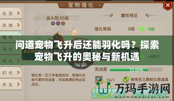 問道寵物飛升后還能羽化嗎？探索寵物飛升的奧秘與新機遇