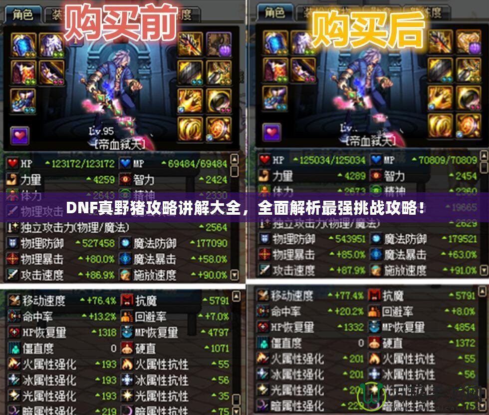 DNF真野豬攻略講解大全，全面解析最強挑戰攻略！