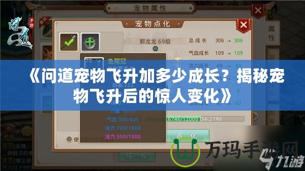 《問道寵物飛升加多少成長(zhǎng)？揭秘寵物飛升后的驚人變化》