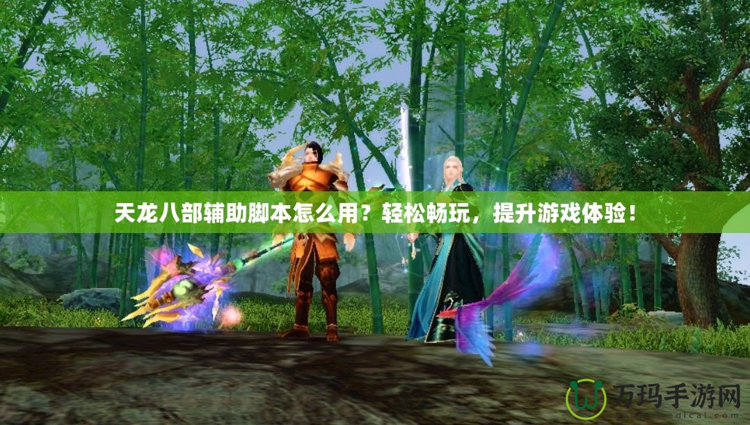 天龍八部輔助腳本怎么用？輕松暢玩，提升游戲體驗(yàn)！