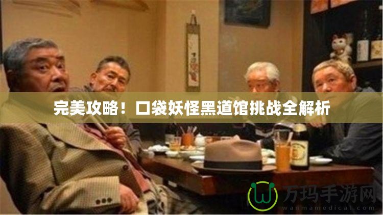 完美攻略！口袋妖怪黑道館挑戰(zhàn)全解析