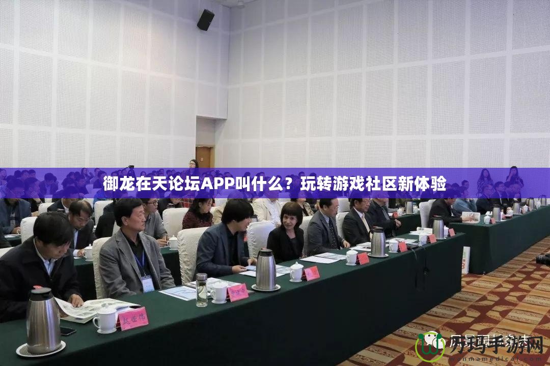 御龍?jiān)谔煺搲疉PP叫什么？玩轉(zhuǎn)游戲社區(qū)新體驗(yàn)