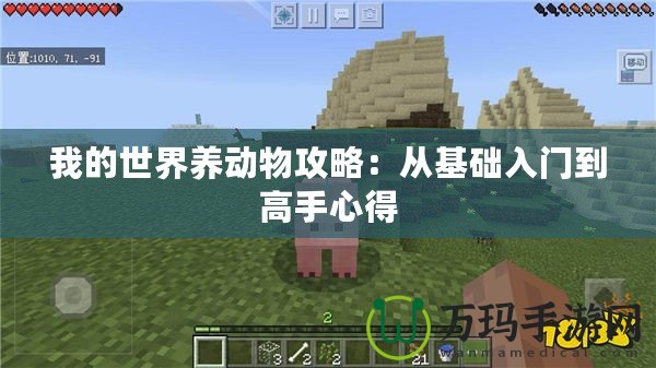 我的世界養動物攻略：從基礎入門到高手心得