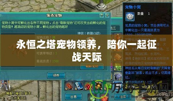 永恒之塔寵物領養，陪你一起征戰天際