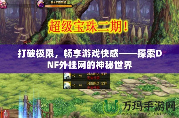 打破極限，暢享游戲快感——探索DNF外掛網(wǎng)的神秘世界