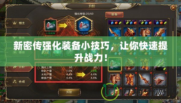新密傳強(qiáng)化裝備小技巧，讓你快速提升戰(zhàn)力！