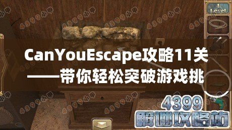 CanYouEscape攻略11關——帶你輕松突破游戲挑戰！