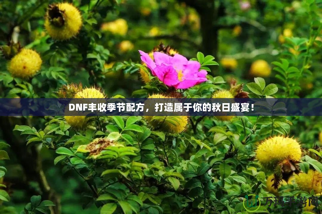 DNF豐收季節配方，打造屬于你的秋日盛宴！