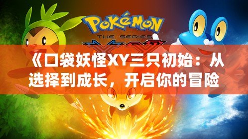 《口袋妖怪XY三只初始：從選擇到成長，開啟你的冒險之旅！》