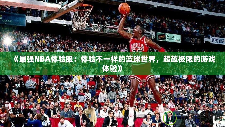 《最強(qiáng)NBA體驗(yàn)服：體驗(yàn)不一樣的籃球世界，超越極限的游戲體驗(yàn)》