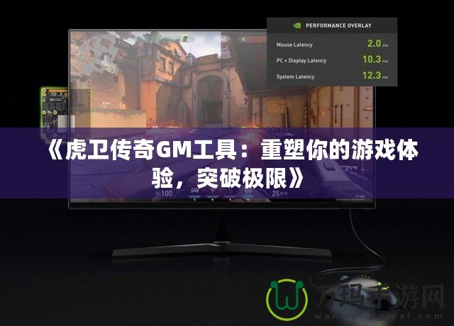 《虎衛傳奇GM工具：重塑你的游戲體驗，突破極限》