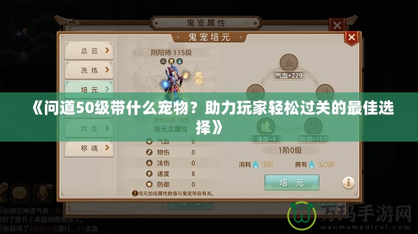 《問道50級帶什么寵物？助力玩家輕松過關的最佳選擇》