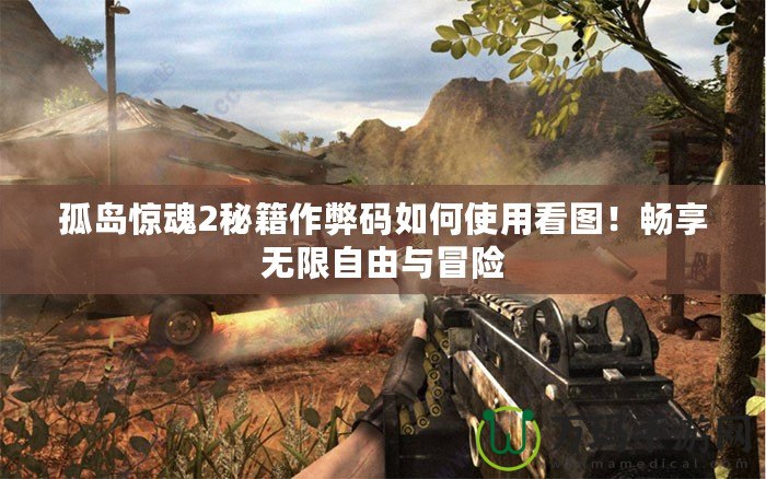 孤島驚魂2秘籍作弊碼如何使用看圖！暢享無限自由與冒險(xiǎn)