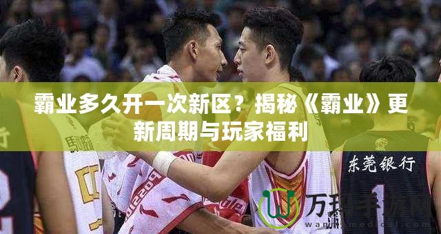 霸業多久開一次新區？揭秘《霸業》更新周期與玩家福利