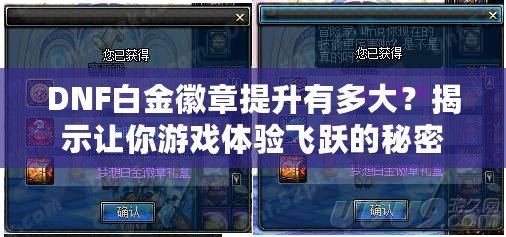 DNF白金徽章提升有多大？揭示讓你游戲體驗飛躍的秘密
