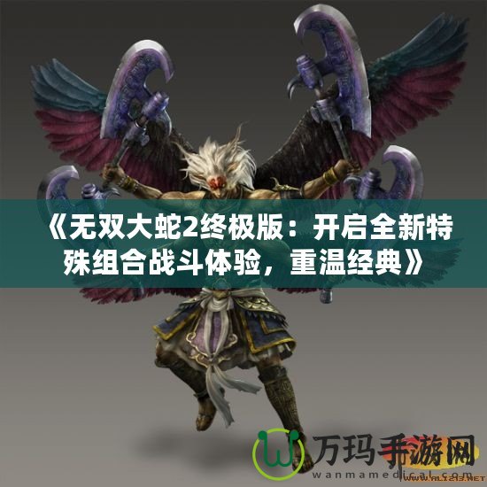《無雙大蛇2終極版：開啟全新特殊組合戰(zhàn)斗體驗，重溫經(jīng)典》