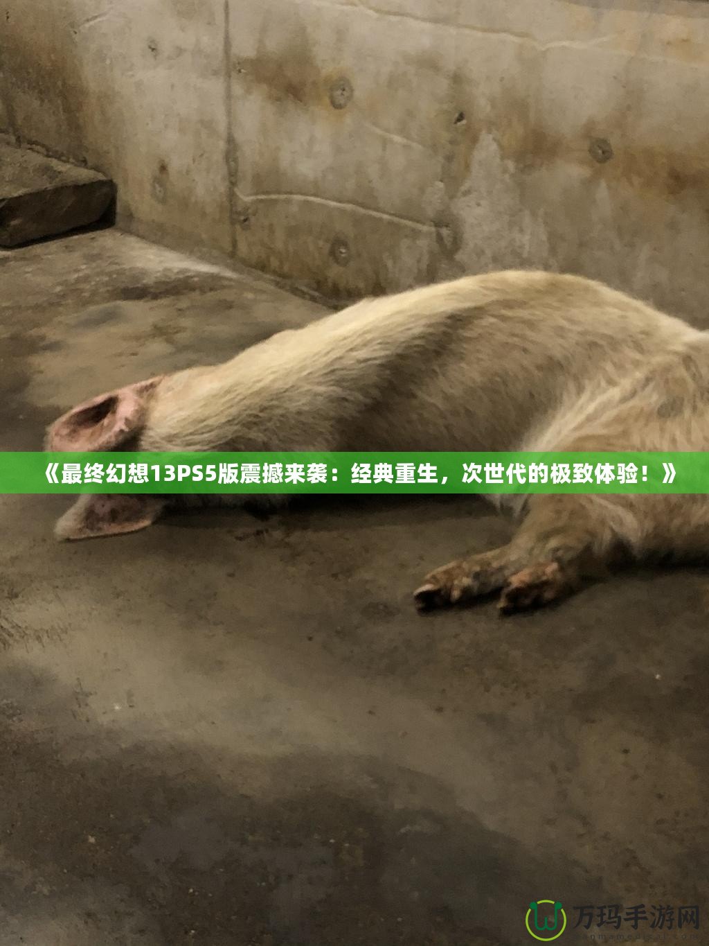 《最終幻想13PS5版震撼來(lái)襲：經(jīng)典重生，次世代的極致體驗(yàn)！》