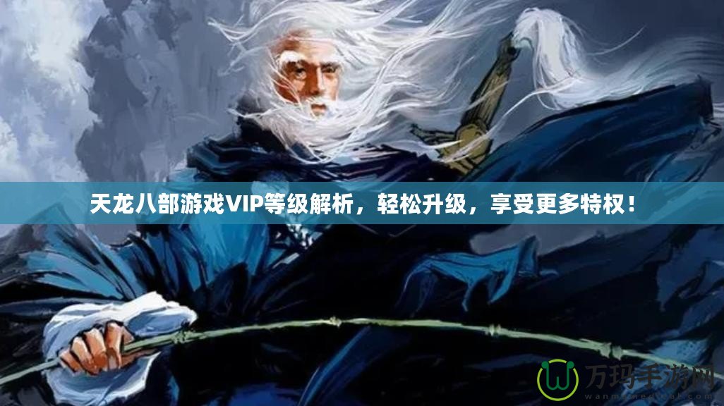 天龍八部游戲VIP等級解析，輕松升級，享受更多特權！