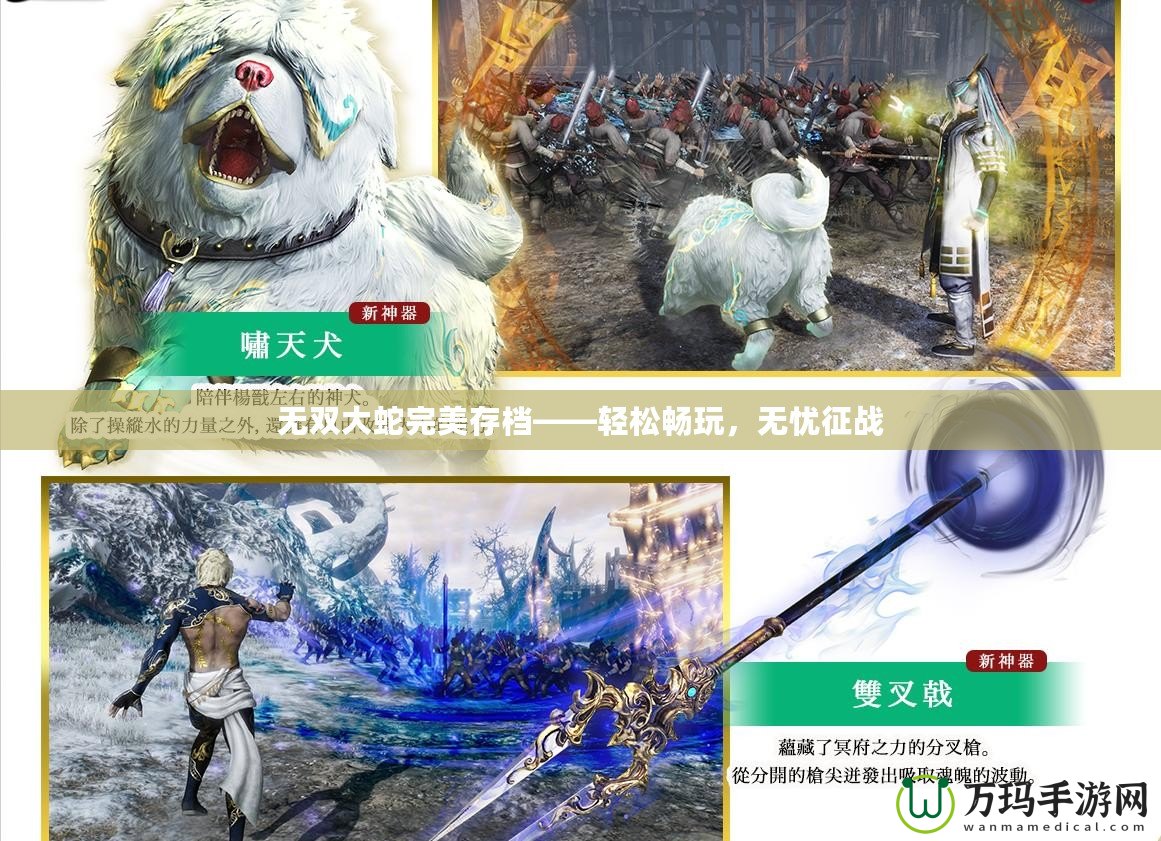 無雙大蛇完美存檔——輕松暢玩，無憂征戰