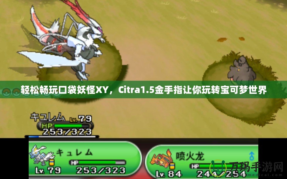 輕松暢玩口袋妖怪XY，Citra1.5金手指讓你玩轉寶可夢世界