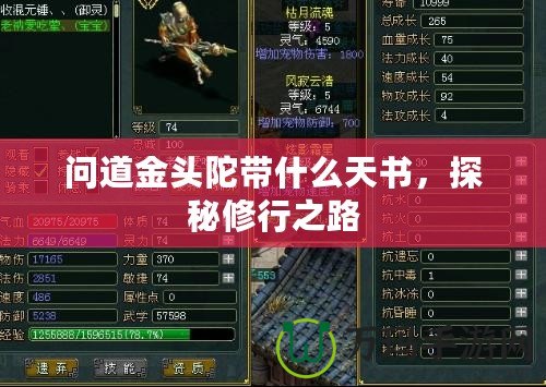 問道金頭陀帶什么天書，探秘修行之路