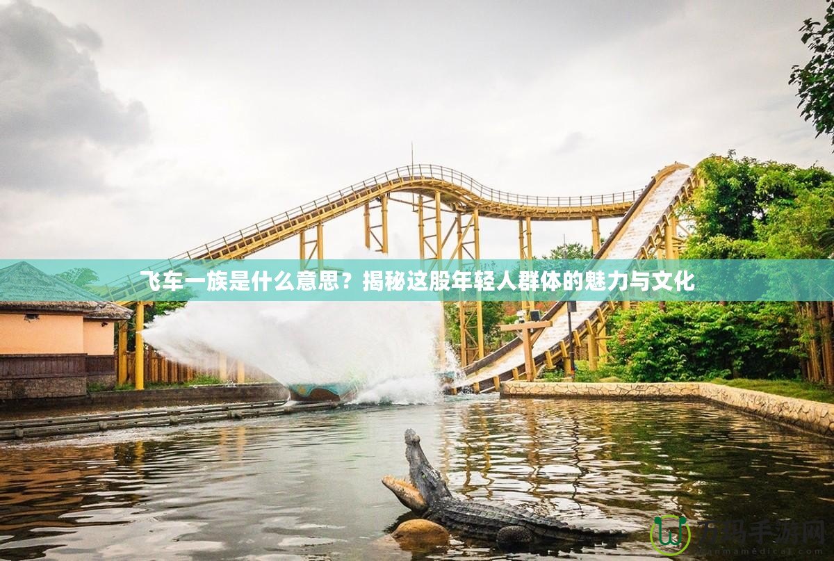 飛車一族是什么意思？揭秘這股年輕人群體的魅力與文化