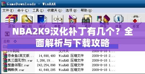 NBA2K9漢化補(bǔ)丁有幾個(gè)？全面解析與下載攻略