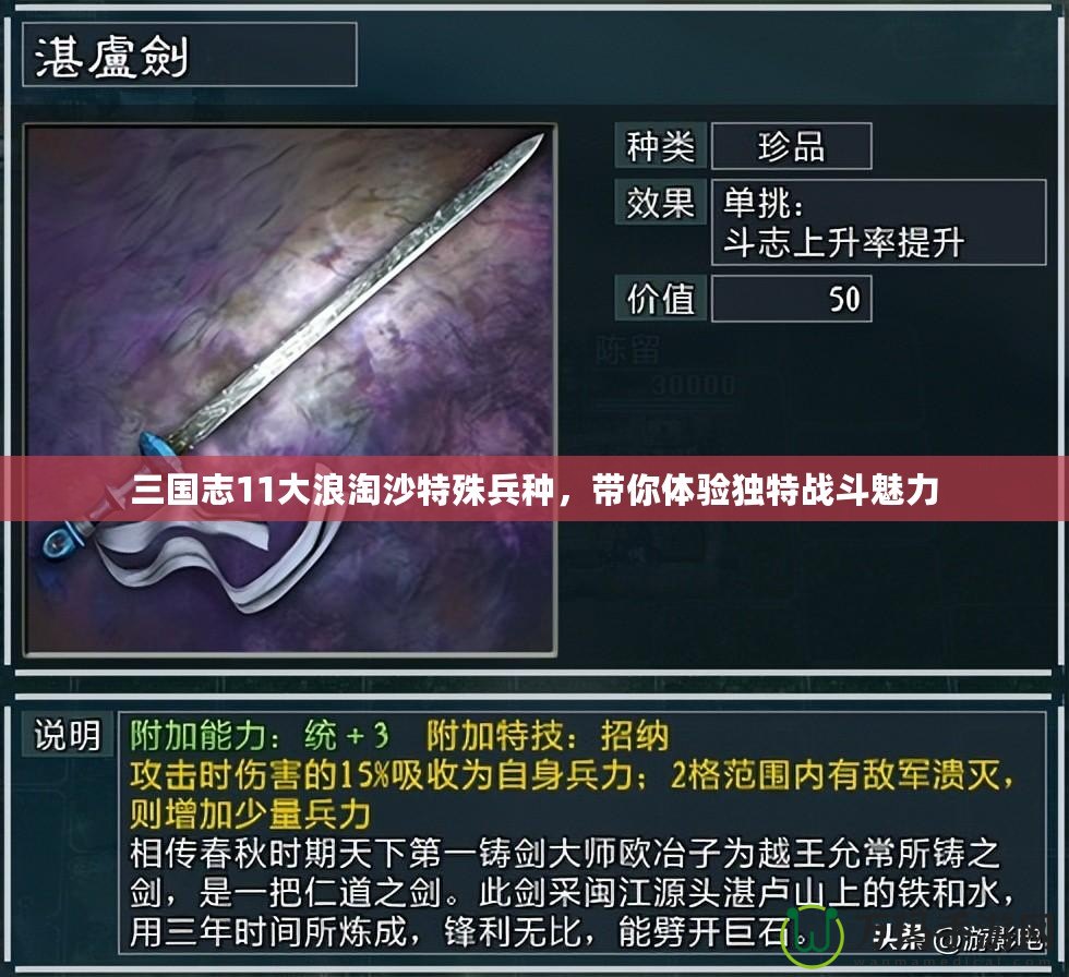 三國志11大浪淘沙特殊兵種，帶你體驗獨特戰斗魅力
