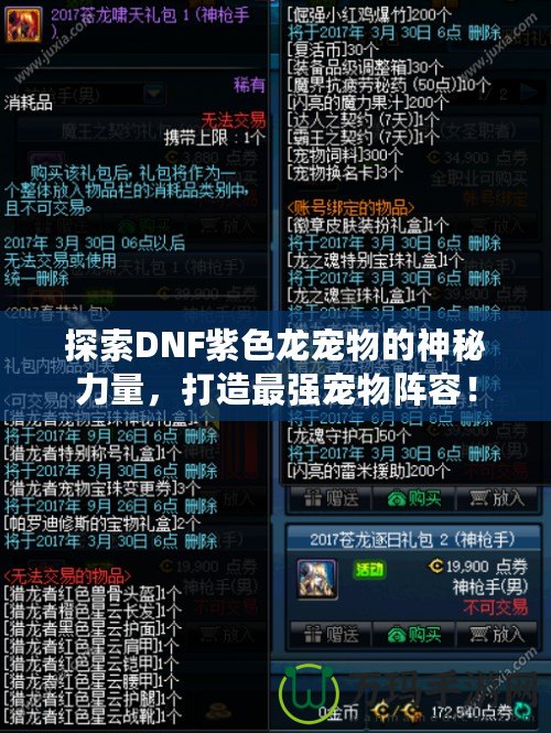 探索DNF紫色龍寵物的神秘力量，打造最強(qiáng)寵物陣容！