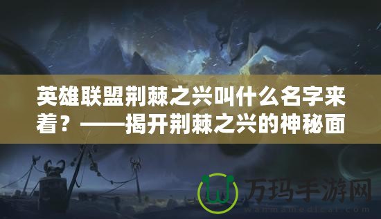 英雄聯盟荊棘之興叫什么名字來著？——揭開荊棘之興的神秘面紗