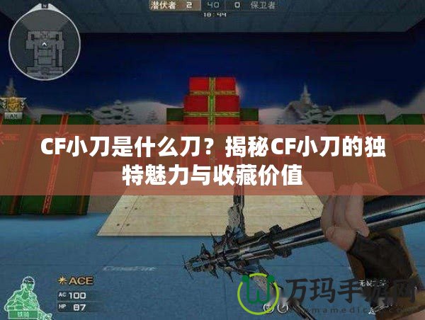 CF小刀是什么刀？揭秘CF小刀的獨特魅力與收藏價值
