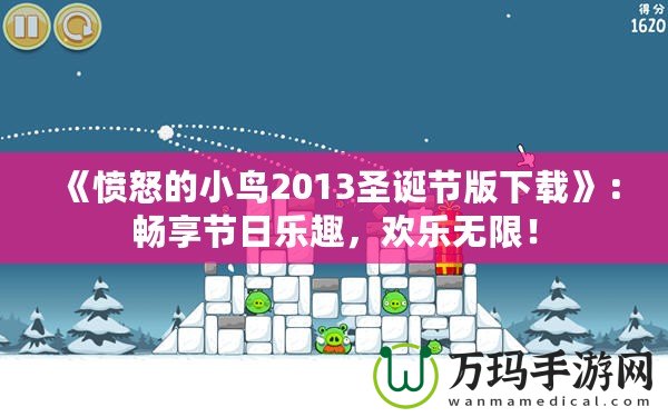 《憤怒的小鳥2013圣誕節版下載》：暢享節日樂趣，歡樂無限！