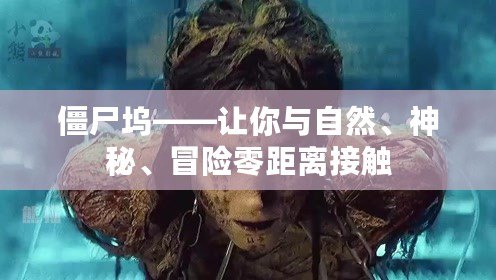 僵尸塢——讓你與自然、神秘、冒險(xiǎn)零距離接觸