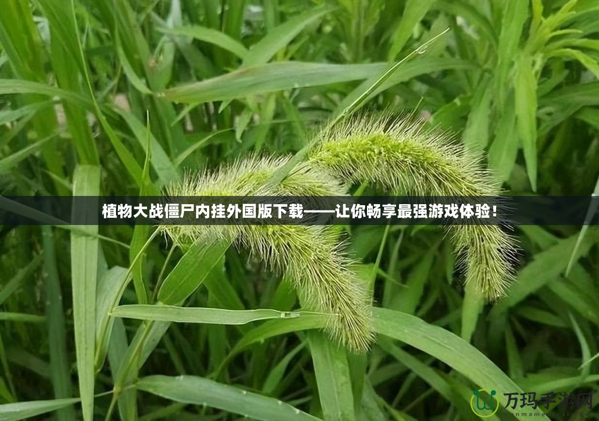 植物大戰僵尸內掛外國版下載——讓你暢享最強游戲體驗！