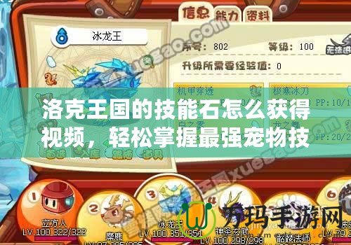 洛克王國的技能石怎么獲得視頻，輕松掌握最強寵物技能！