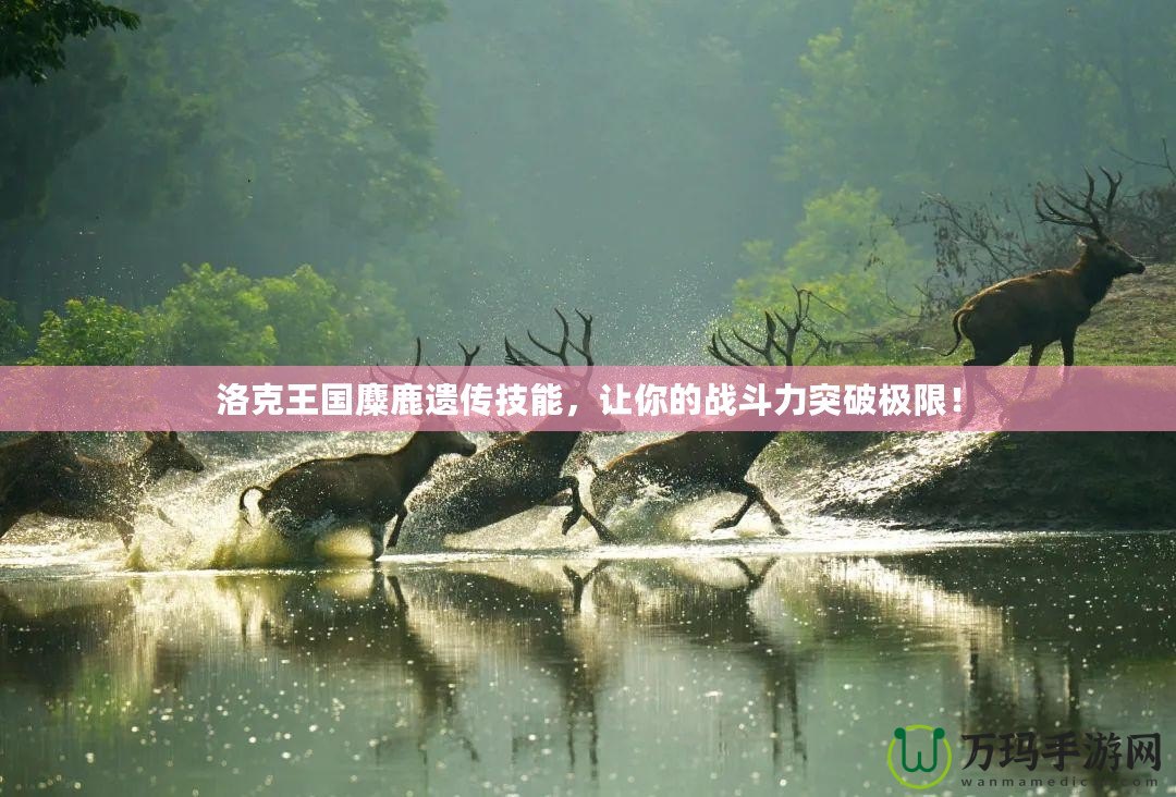 洛克王國(guó)麋鹿遺傳技能，讓你的戰(zhàn)斗力突破極限！