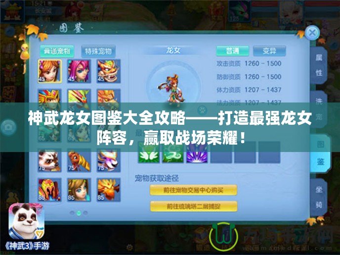 神武龍女圖鑒大全攻略——打造最強龍女陣容，贏取戰場榮耀！