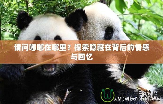 請(qǐng)問嘟嘟在哪里？探索隱藏在背后的情感與回憶