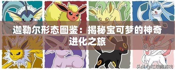 迦勒爾形態(tài)圖鑒：揭秘寶可夢的神奇進(jìn)化之旅