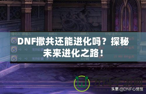 DNF撒共還能進(jìn)化嗎？探秘未來(lái)進(jìn)化之路！