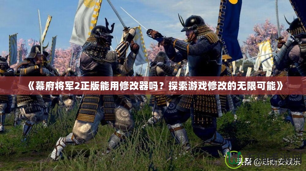 《幕府將軍2正版能用修改器嗎？探索游戲修改的無限可能》