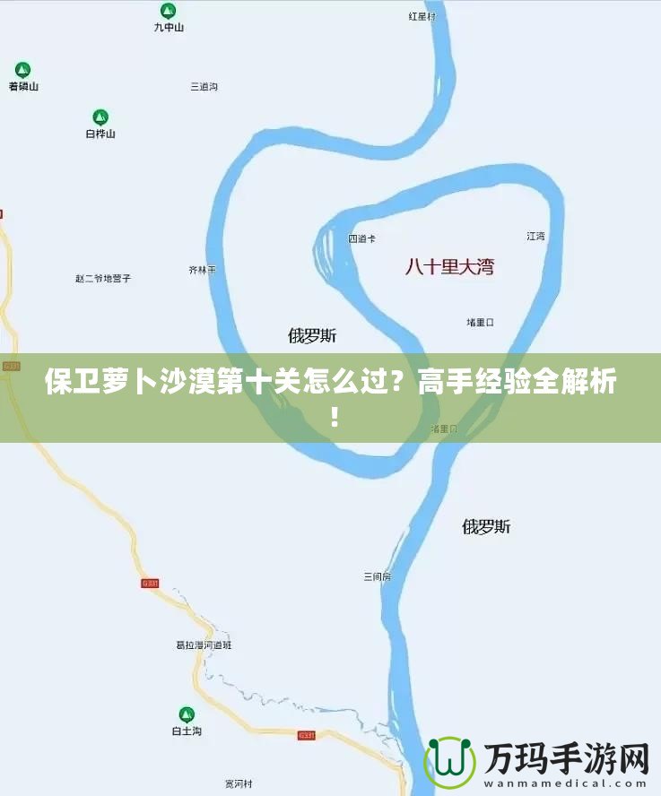 保衛蘿卜沙漠第十關怎么過？高手經驗全解析！